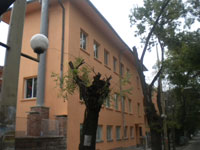dg